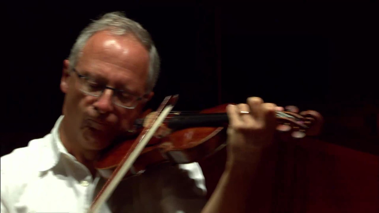 Bach : Sonate pour violon seul n°3 BWV 1005 (largo) (Luc Héry)