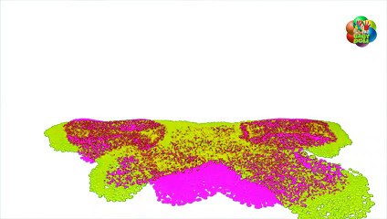 Kinetic Sand Learn Colors with Fidget Spinner Vs Giant Foot Toy for Babies and Kids