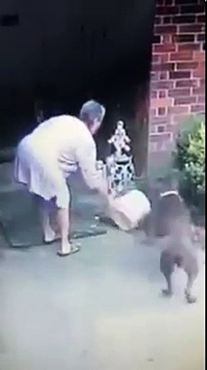 Elle file un serpent à bouffer aux chiens !
