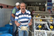Balıkçıların Ağına Takılan Mavi Yengeç Vatandaşları Şaşkına Çevirdi