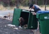 ‘This Trash Can is Just Right’ - Reno Firefighters Find Three Bear Cubs in Dumpster