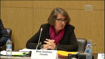 Commission des affaires étrangères : Mme Sandrine Gaudin, secr. gén. des affaires européennes : Accord Économique et Commercial Global avec le Canada (AECG / CETA)  - Mardi 2 octobre 2018