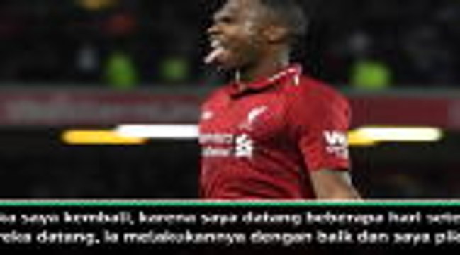Sturridge pantas dipanggil Timnas Inggris - Wijnaldum