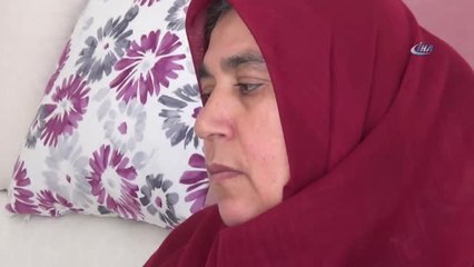 Isparta'da Öküz Dehşeti