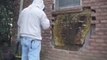 Oh Beehive! – Bee Whisperer Removes Enormous Hive From Tennessee Home