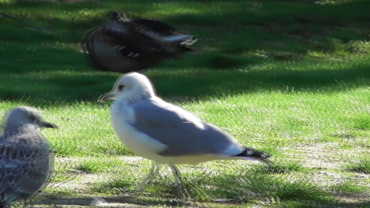 Sep 23 2018 F3