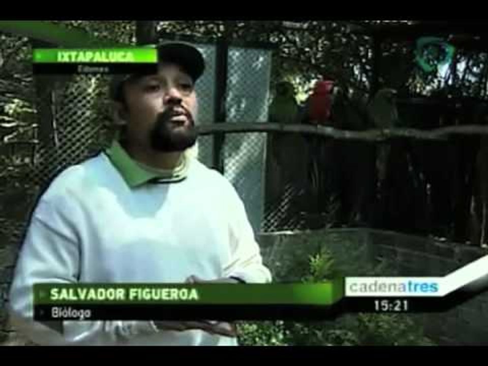 México resguarda en el tercer aviario más grande del mundo a especies en peligro de extinción.