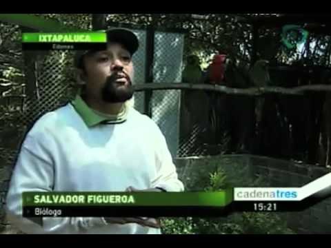 México resguarda en el tercer aviario más grande del mundo a especies en peligro de extinción.