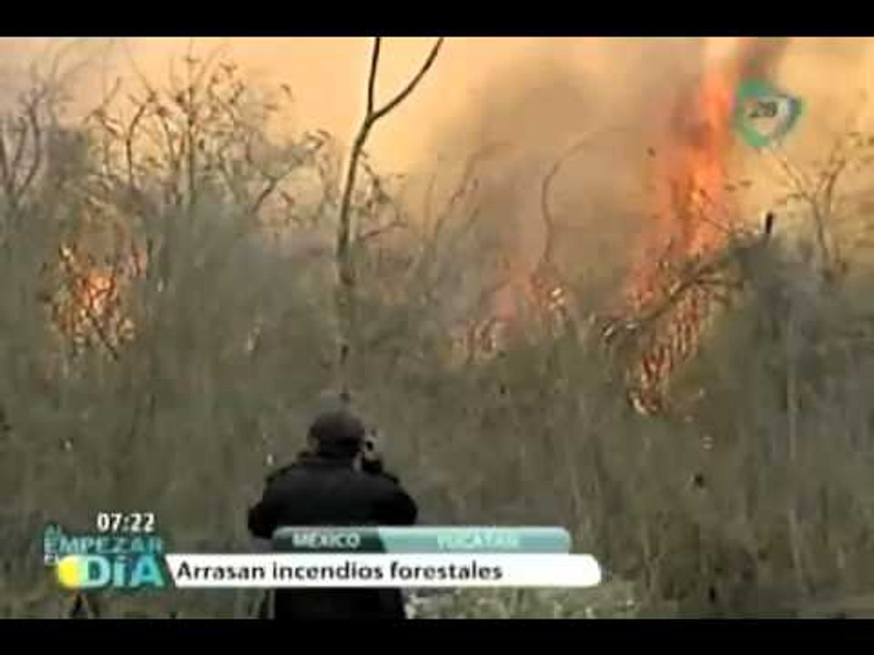 Arrasan incendios forestales a decenas de hectáreas en Yucatán