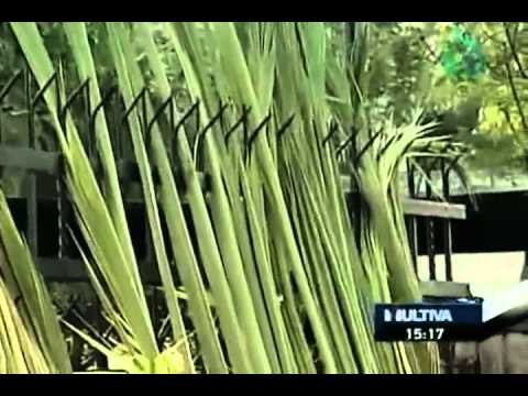 La Pasión de Cristo de Iztapalapa es patrimonio cultural de la Ciudad de México