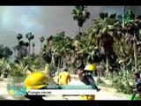 Arde hectáreas de pastizales en Los Cabos