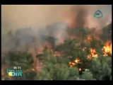 Se desata el infierno en los bosques de Jalisco