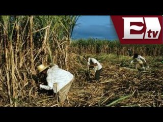 Peña Nieto primer informe de gobierno / Respaldo al campo y a PyMES