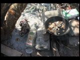 En Baja California Sur los indigentes comen carne de perro para sobrevivir