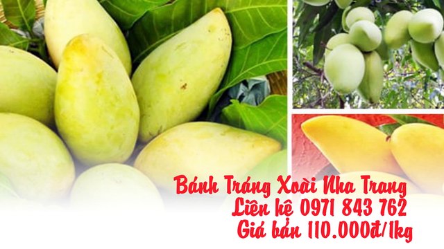 Bánh Tráng Xoài Nha Trang