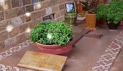 Στις 7 Οκτωβρίου και ώρα 7.30 π.μ θα τελεστεί μνημόσυνο για τον Μακαριστό Αρχιεπίσκοπο Σιδηροκάστρου κ.κ. Ιωάννη