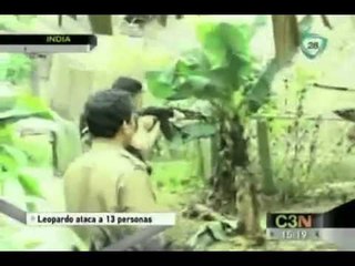 Leopardo ataca a 13 personas en la India