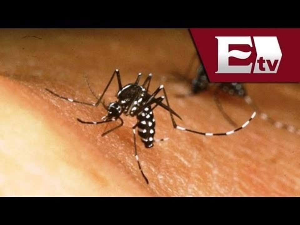 Alerta en 14 Estados por casos de dengue en México/Titulares de la Noche con Gloria Contreras