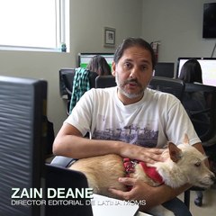 ¿Por qué llevar mascotas a la oficina es una buena idea?