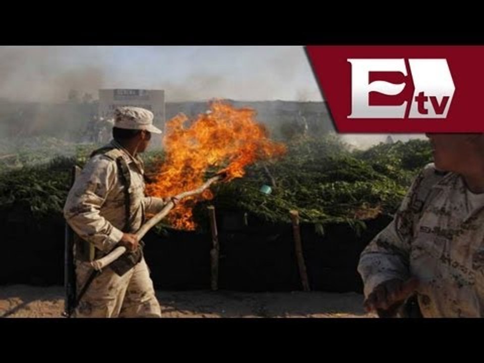 Ejército Mexicano encuentra plantíos de marihuana en Michoacán / Titulares con Vianey Esquinca