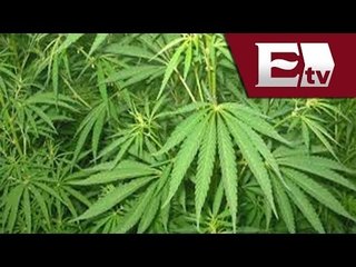 Washington, segundo Estado en legalizar la marihuana / Global