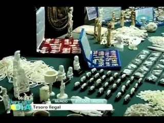 Decomisan en NY una tonelada de marfil ilegal en dos joyerías