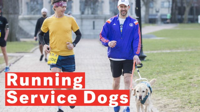 Unique Guide Dog Program Enables Visually Impaired To Run With Their Service Dogs
