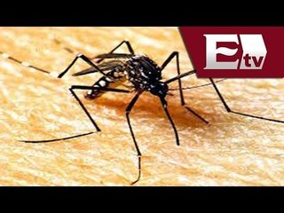 Brote de Dengue en Colima / Titulares de la mañana Vianey Esquinca