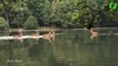 Il filme 5 cerfs qui traversent un lac à la queue-leu-leu... Magnifique