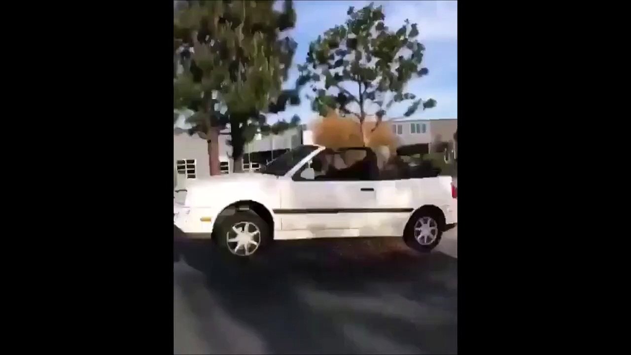 Quand tu prends un dos d'âne un peu vite... Pauvre voiture