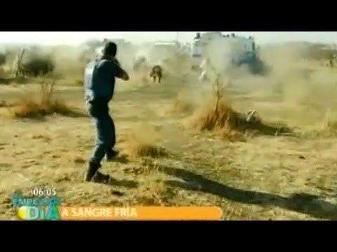 Masacre policíaca en Sudáfrica; agentes matan a balazos a 18 mineros