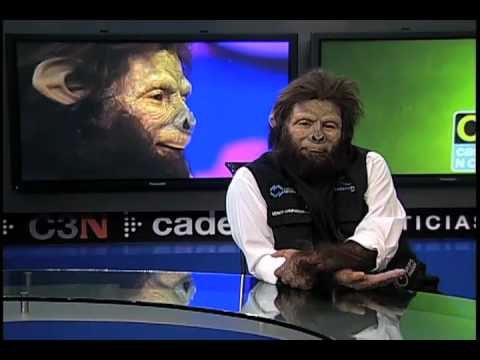 Mónico Chimpanzón habla sobre las multas a los partidos políticos