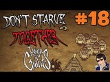 Don't Starve Together with Friends Gameplay [Season 2] - Let's Play - #18 (Go, go, PIGGY RANGERS!!!)