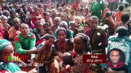 Mesay Mekonnen Discusses TPLF & EPRDF Congress, Regional Politics & Key Leaders 🇪🇹