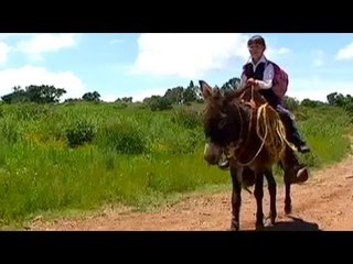 Burros, el nuevo transporte escolar en Guanajuato