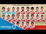 Vicente del Bosque revela la lista final de convocados de España para el Mundial Brasil 2014