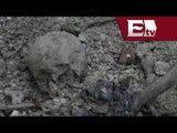 Hallan cuerpos humanos en fosas clandestinas en Jalisco / Mario Carvonell