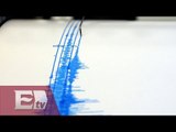 Veracruz no sufre daños por el sismo / Excélsior en la media