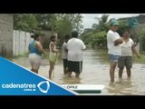 Evalúan daños ocasionados por la tormenta tropical Manuel en Jalisco