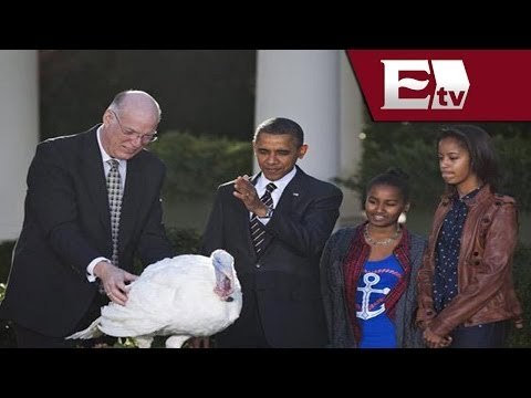 Barack Obama indulta dos pavos con motivo del Día de Acción de Gracias / Paola Barquet