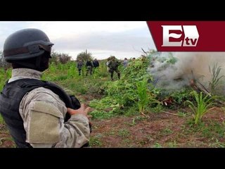 México desciende 45 lugares en paz global  / Titulares con Vianey Esquinca