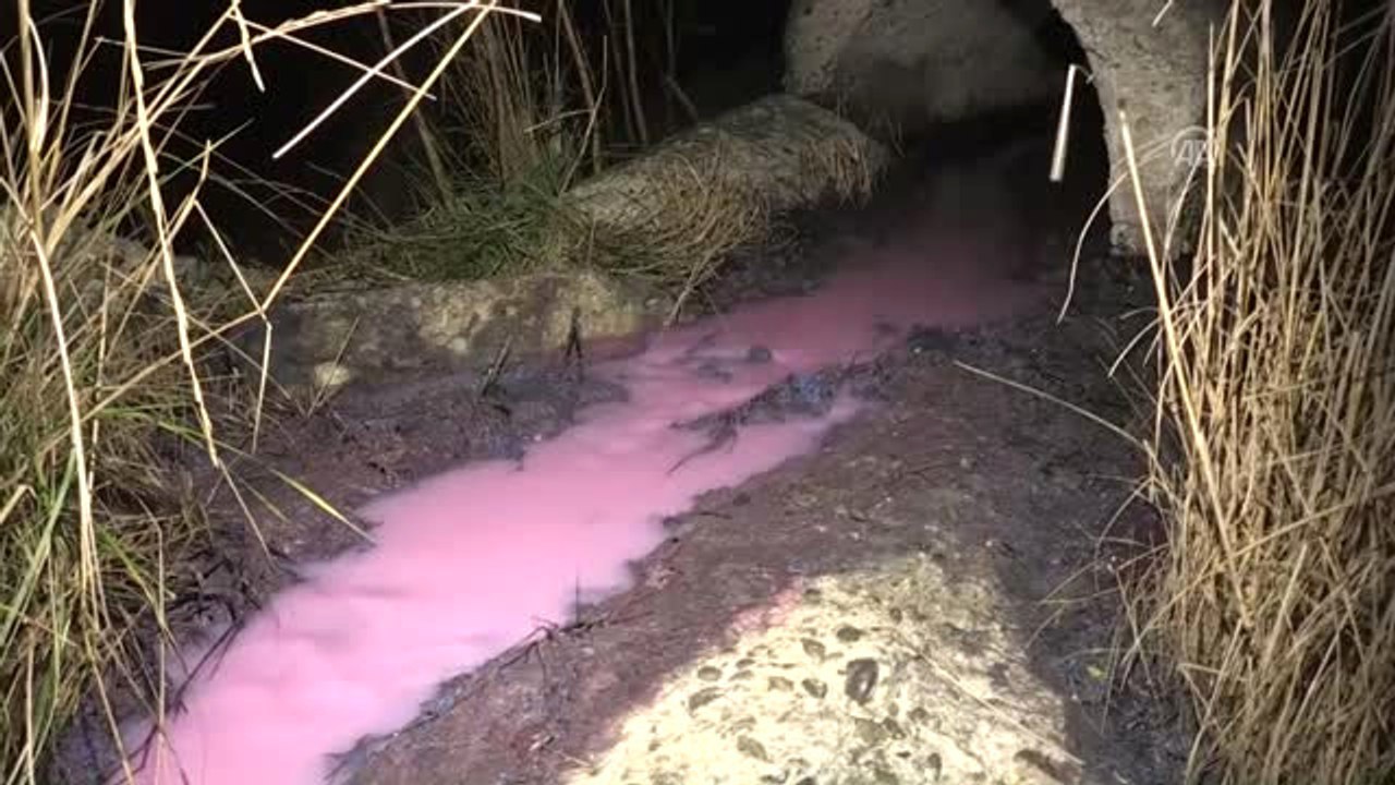 Kimyasal Atık Nedeniyle Derenin "Kırmızı ve Pembe" Akması