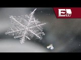 Impresionantes imágenes de copos de nieve / Tendencias de las redes sociales