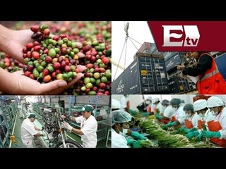 Violencia disminuye la producción en México / Dinero con Dario Celis