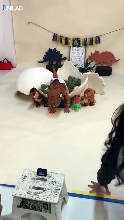 There’s no controlling this little dinosaur 