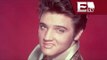 Montan exposición del rey del rock, Elvis Presley / Andrea Newman