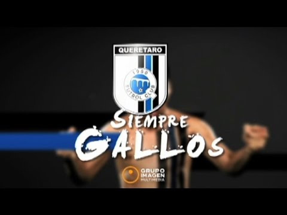 ¡Siempre Gallos! (Promocional)