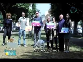 Israelíes realizan campaña para llegar a oídos de Irán