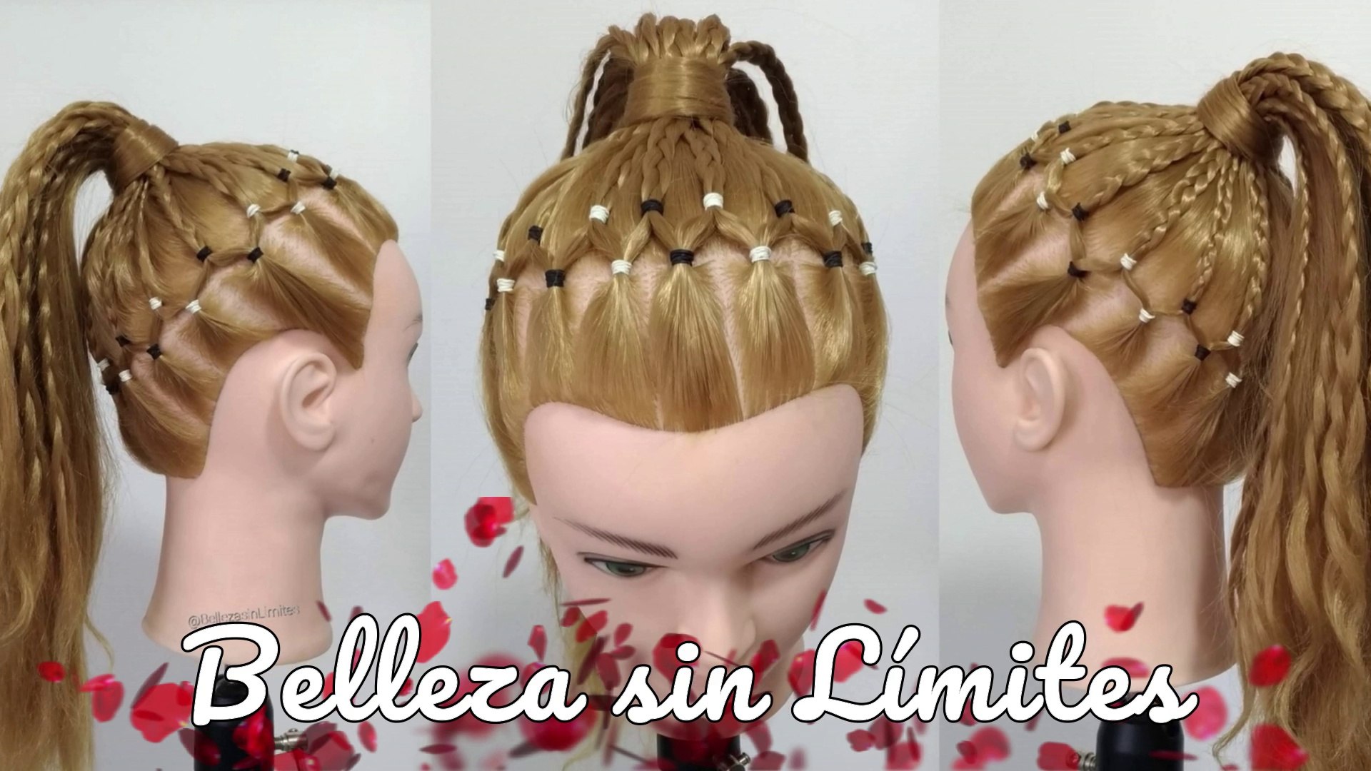 Peinado Trenzado con Coleta Alta by Belleza sin Limites - Vídeo Dailymotion