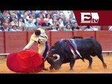 Vence plazo para prohibir corridas de toros en la Ciudad de México / Jazmín Jalil
